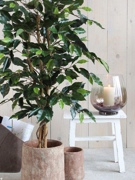 Ficus Kunstplant Groot met Realistisch Ontwerp in Zwarte Pot voor Binnengebruik 1