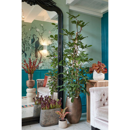 Plantentafel Yonker Bruin