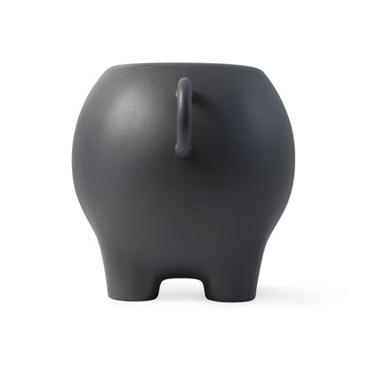 SIDEPIG