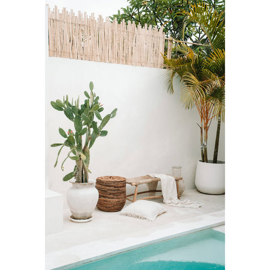 De Porto Zeegrasbank - Naturel - L