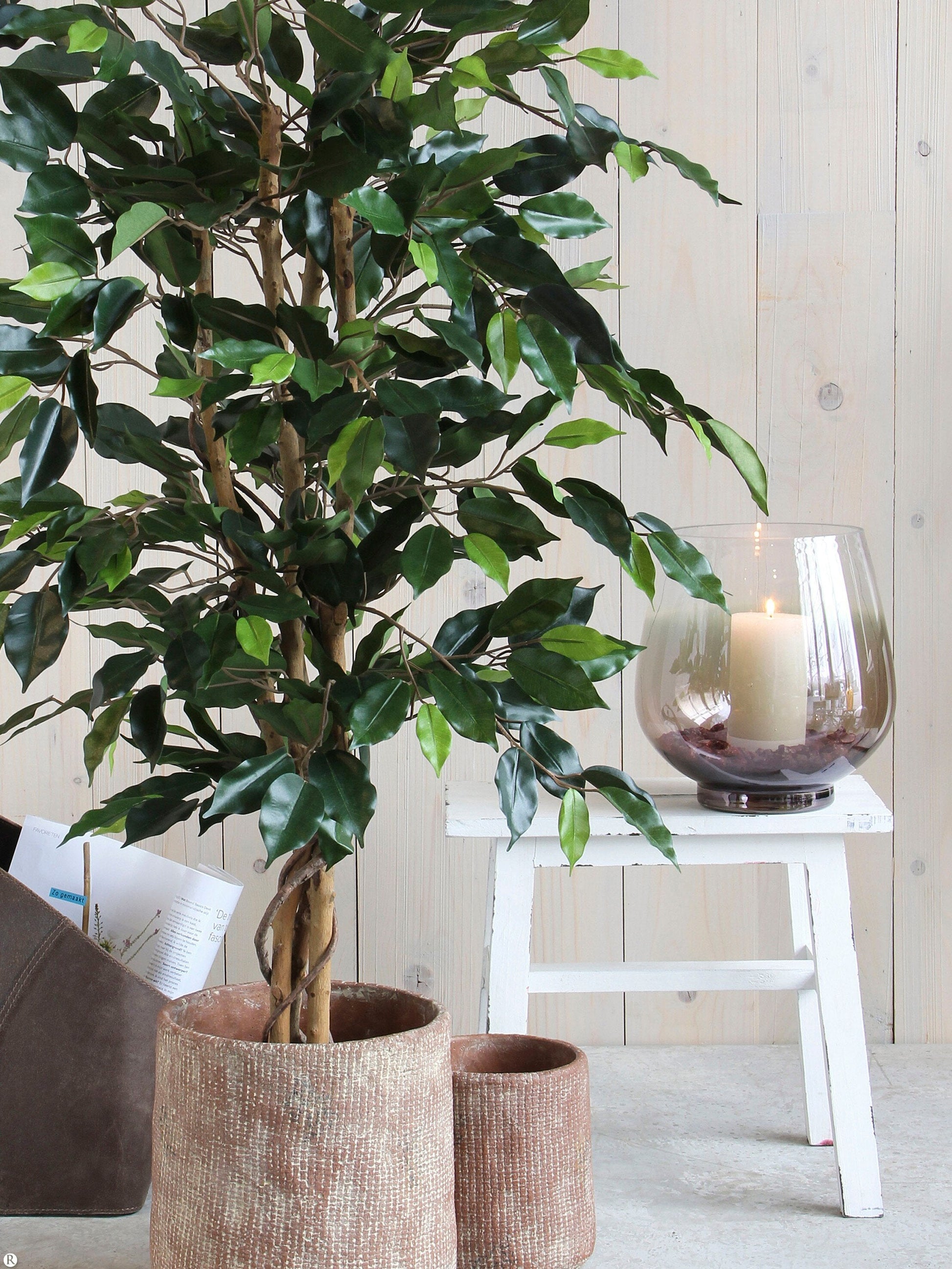 Ficus Kunstplant Groot met Realistisch Ontwerp in Zwarte Pot voor Binnengebruik 5