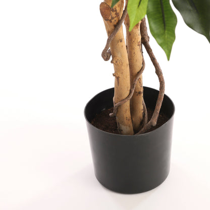 Ficus Kunstplant Groot met Realistisch Ontwerp in Zwarte Pot voor Binnengebruik 7