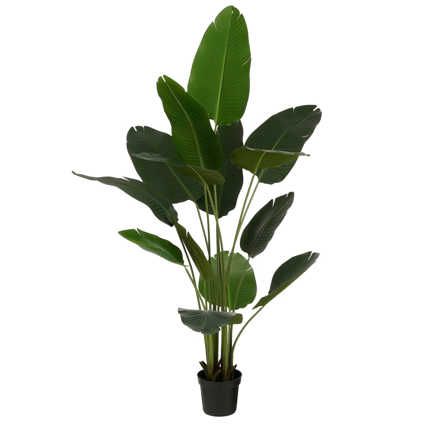 Kunstplant Bananenboom Groot met Realistische Bladeren | Perfecte Decoratie voor Binnen 0