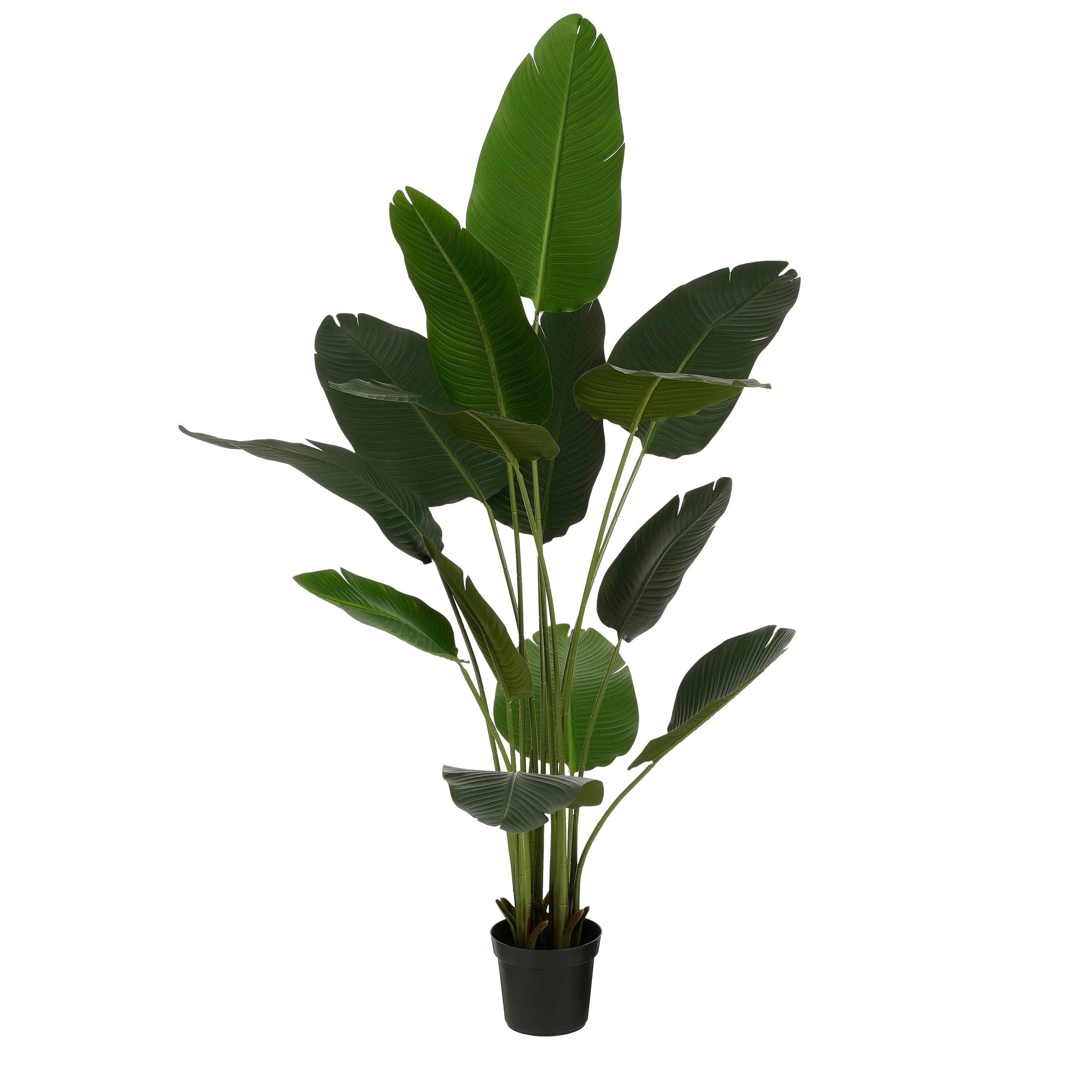 Kunstplant Bananenboom Groot met Realistische Bladeren | Perfecte Decoratie voor Binnen 0