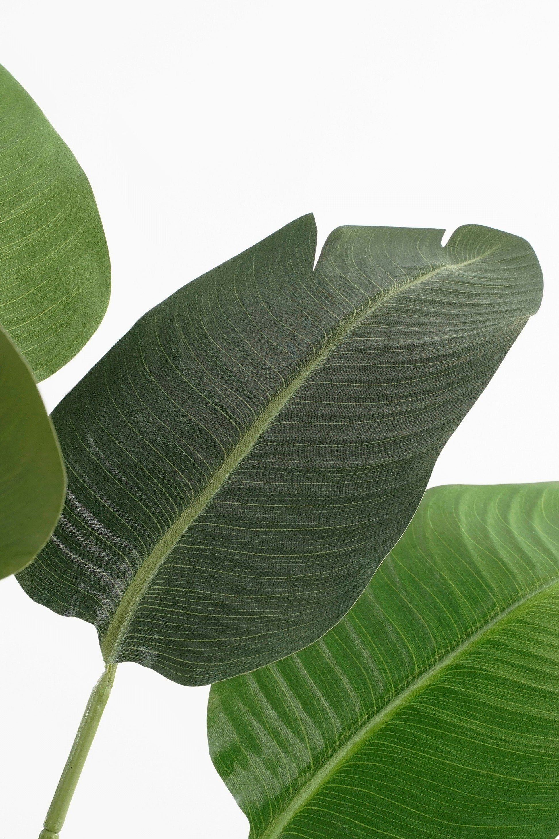 Kunstplant Bananenboom Groot met Realistische Bladeren | Perfecte Decoratie voor Binnen 5