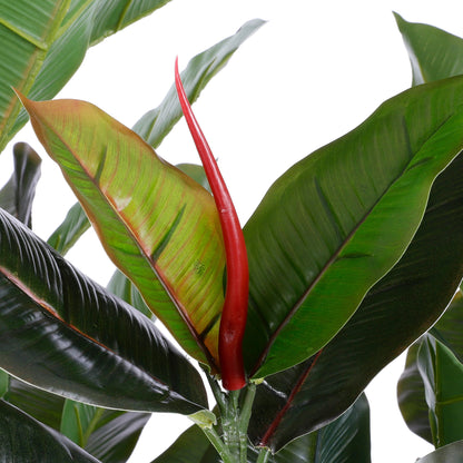 Kunstplant Groot Rubberplant met Donkergroene Bladeren | Onderhoudsvrij voor Natuurlijke Thuisdecoratie 4