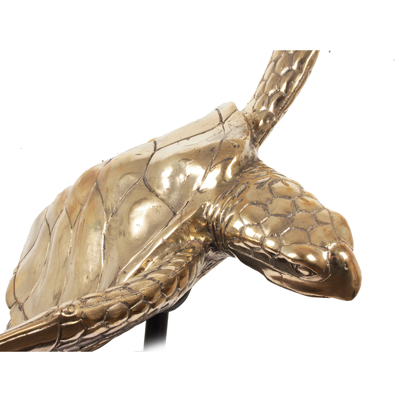 Prachtige Zeeschildpad van Messing met Gedetailleerd Ontwerp | Elegante Decoratie voor Positieve Energie 2